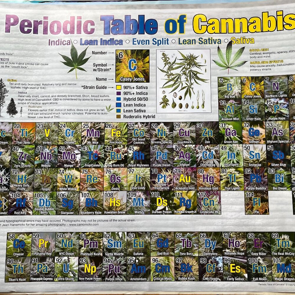 Periodic Table of Cannabis Large‎ Poster College Collection Wall Decor Sz 24x36